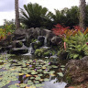 Meet your Posher, Addyson